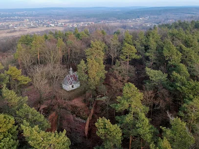 Rezerwat przyrody Kręgi Kamienne w Tumlinie